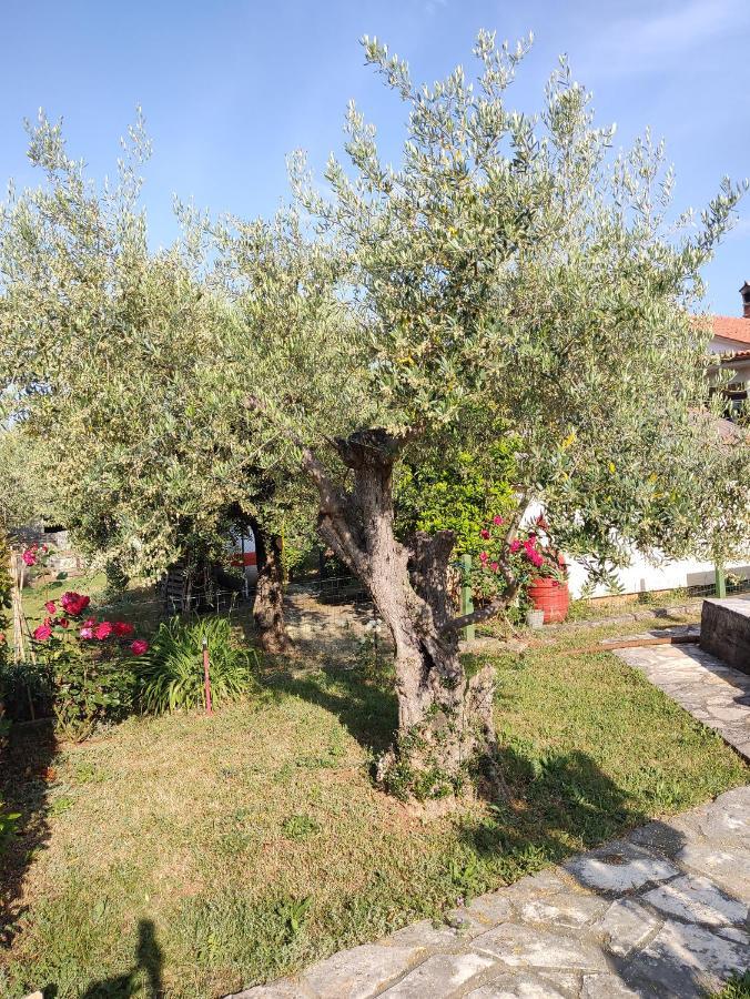 App Klabot *** Umag Exterior foto